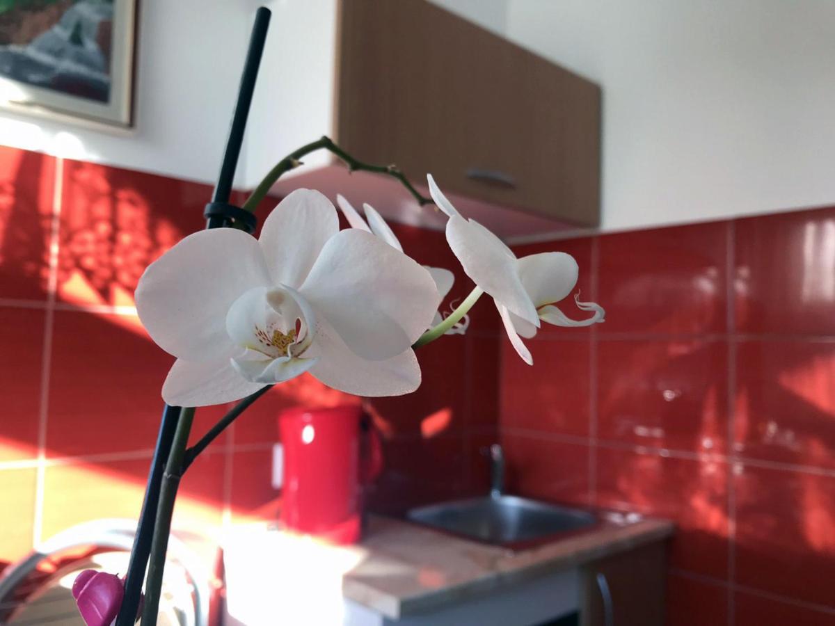 Soba Milica Hotel Palić Eksteriør billede
